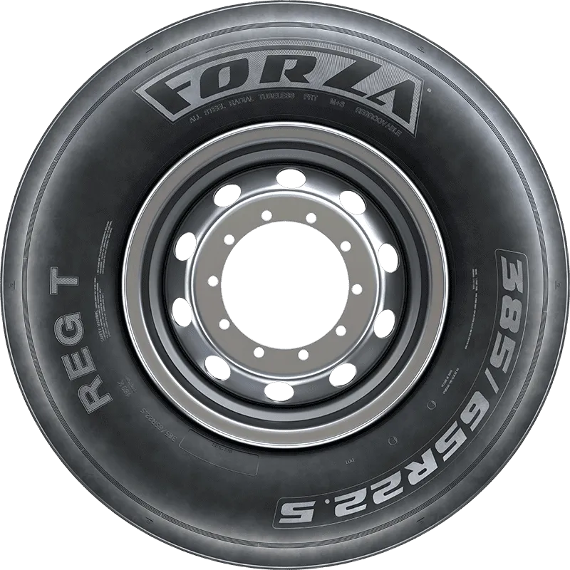 FORZA REG T в Гусеве — KAMA TYRES FORZA REG T в Гусеве
