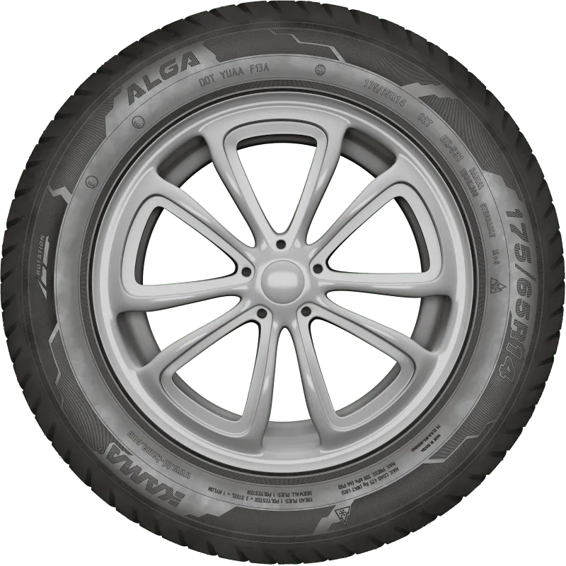 KAMA ALGA (НК-531) нешип в Гусеве — KAMA TYRES KAMA ALGA (НК-531) нешип в Гусеве